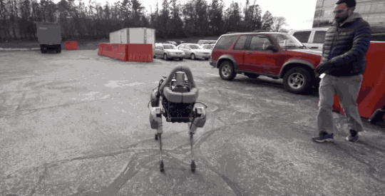 robot hond spot