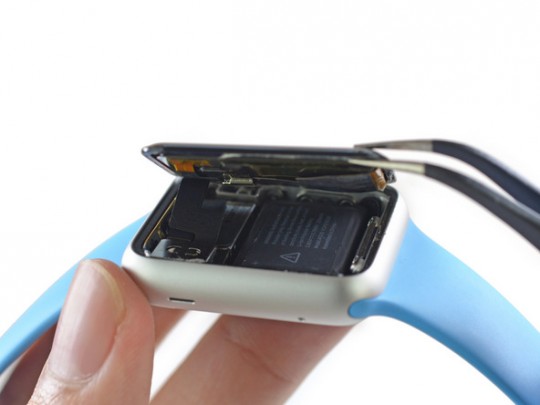 applewatch-teardown1